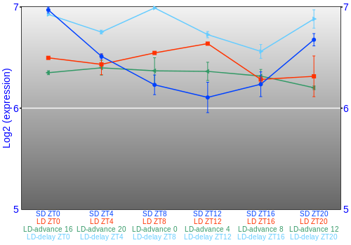 Expression graph