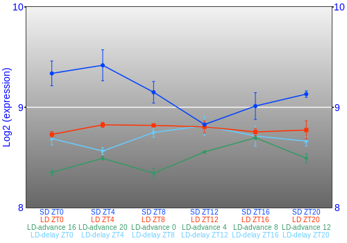 Expression graph