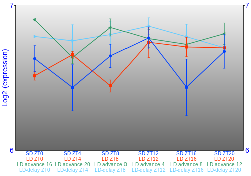 Expression graph