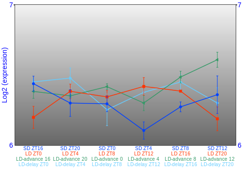 Expression graph
