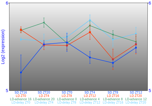 Expression graph