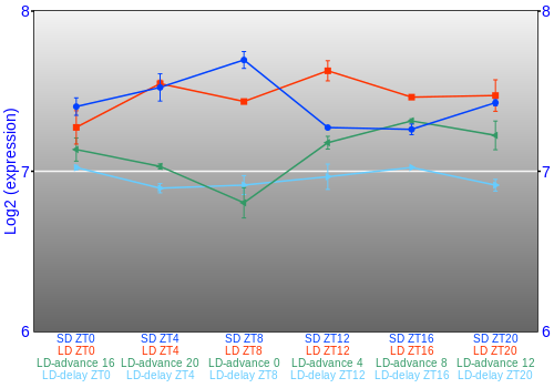 Expression graph