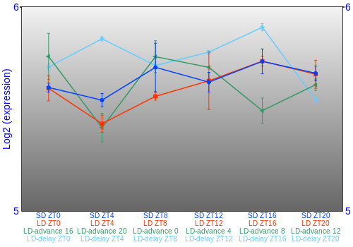 Expression graph
