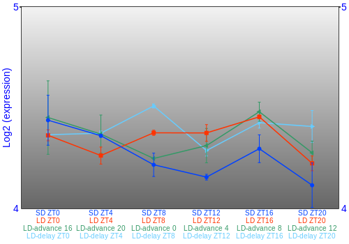 Expression graph