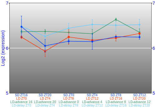 Expression graph