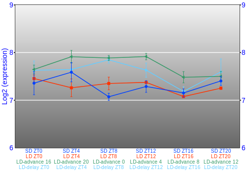 Expression graph