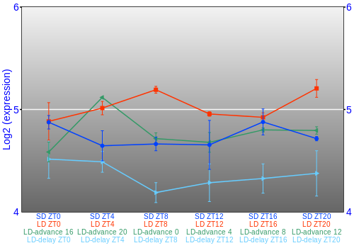 Expression graph