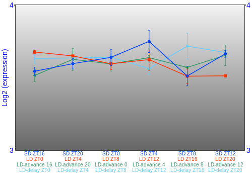 Expression graph