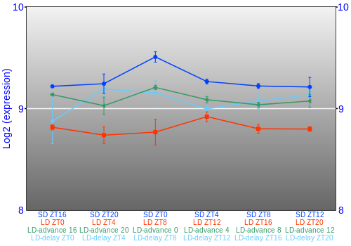 Expression graph