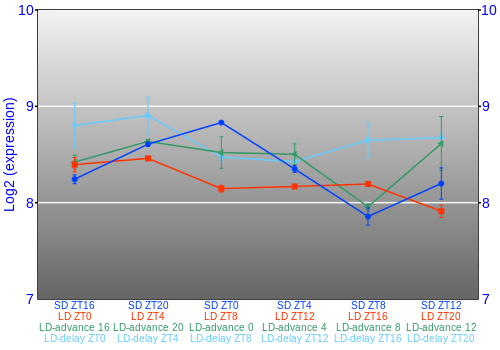 Expression graph