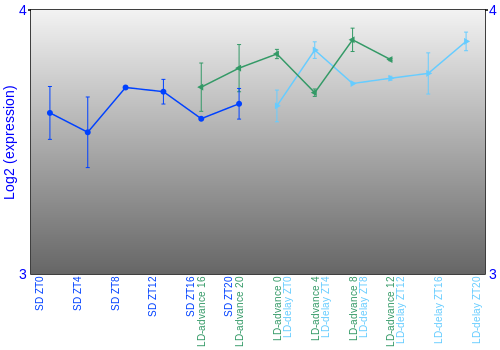 Expression graph
