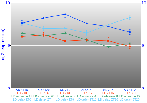 Expression graph