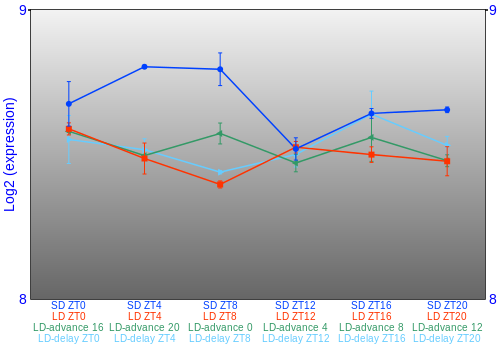 Expression graph