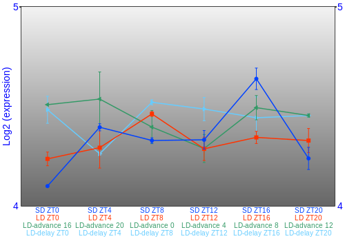 Expression graph