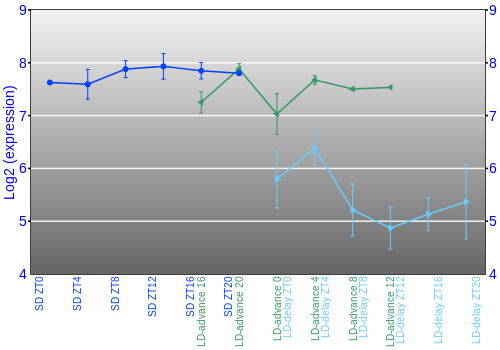 Expression graph