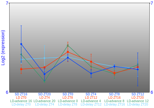 Expression graph