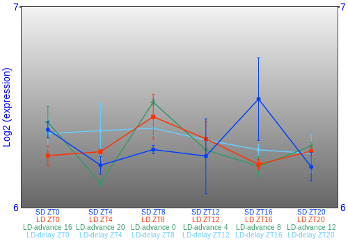 Expression graph