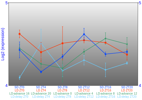 Expression graph