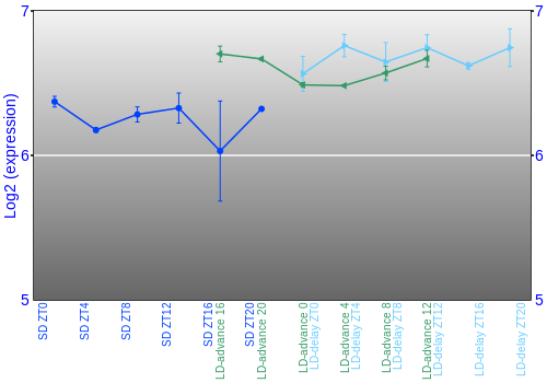 Expression graph