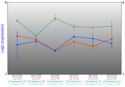 Expression graph