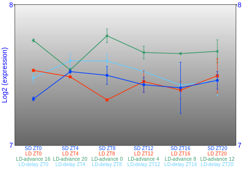 Expression graph