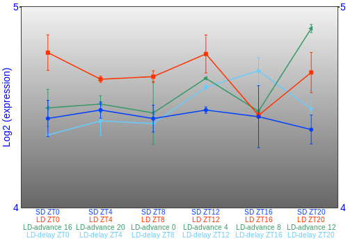 Expression graph