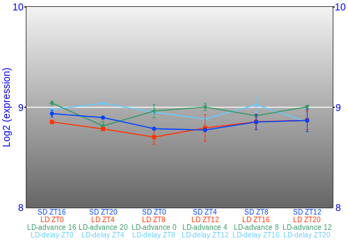 Expression graph