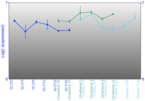 Expression graph