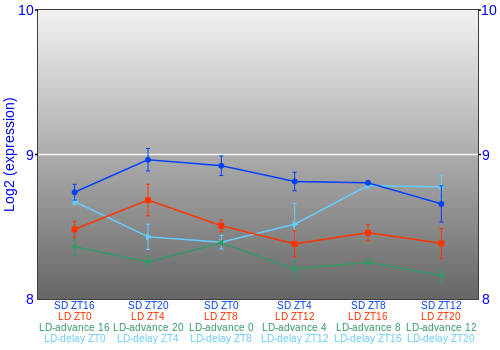 Expression graph