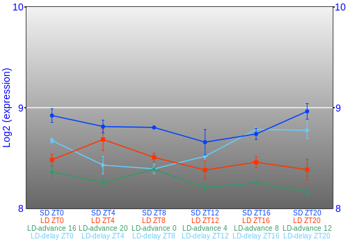 Expression graph