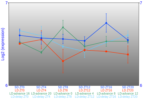 Expression graph