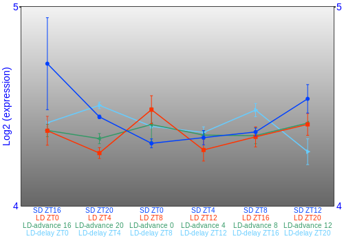 Expression graph