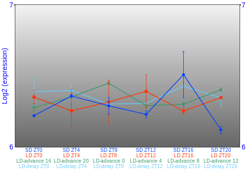 Expression graph