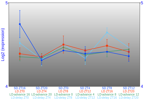 Expression graph