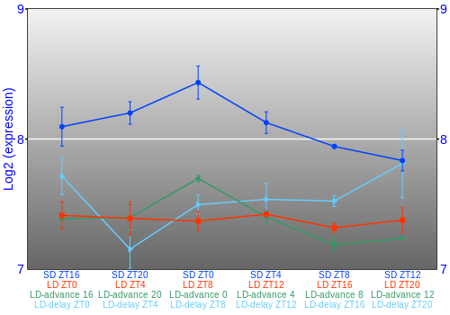 Expression graph