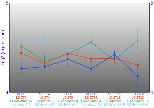 Expression graph