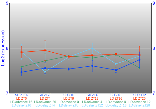 Expression graph