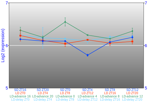 Expression graph