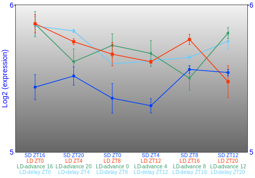 Expression graph