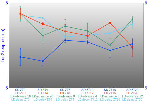 Expression graph