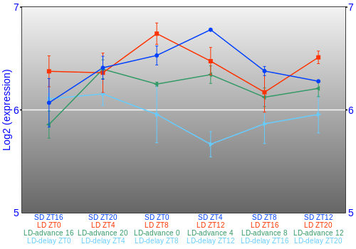 Expression graph