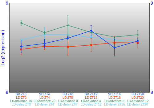 Expression graph