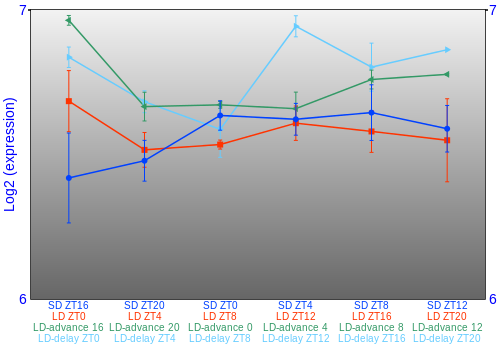 Expression graph