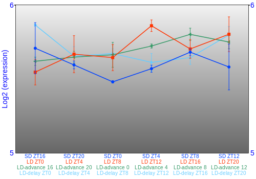 Expression graph