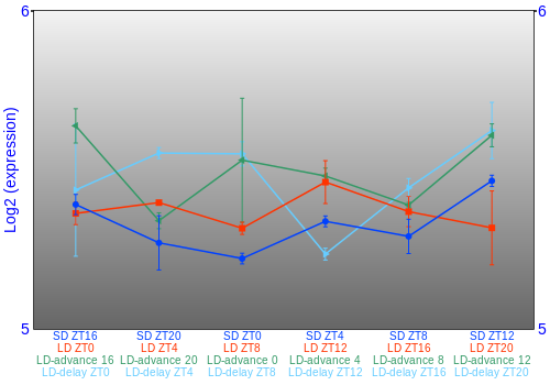 Expression graph
