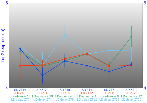 Expression graph