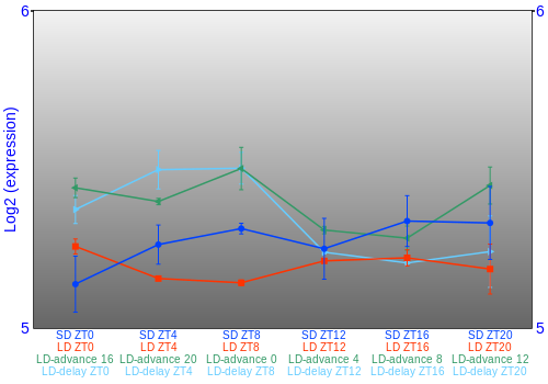 Expression graph