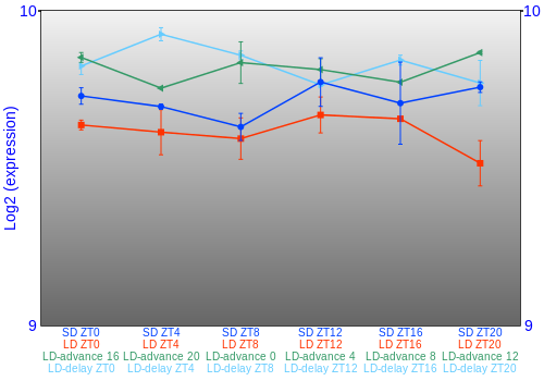 Expression graph