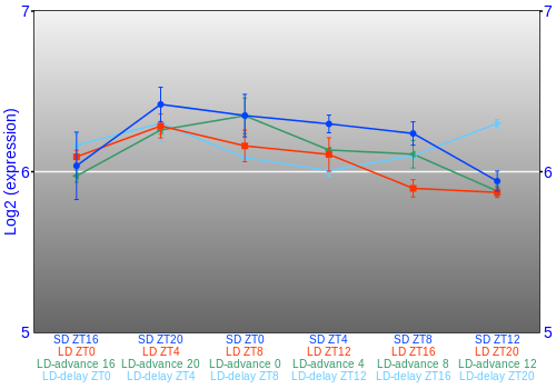 Expression graph