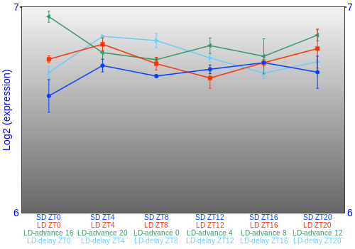 Expression graph